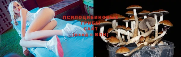 ALPHA PVP Пересвет