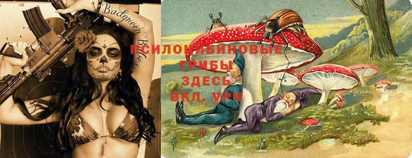 спиды Переславль-Залесский