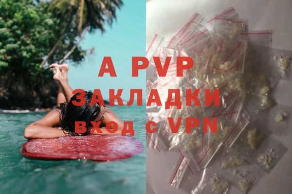 дурь Богданович